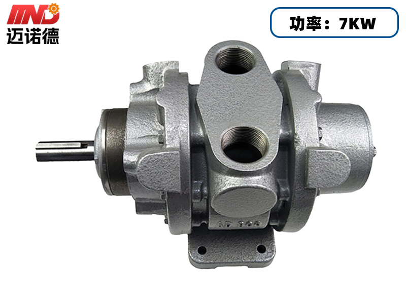 16AM-FRV-2叶片式气动马达